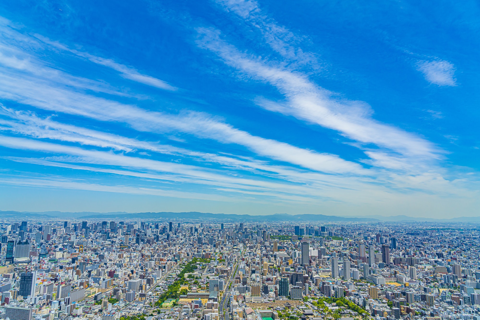 無料相談で最適な解決策を見つけるお手伝いをして安心をお届けします